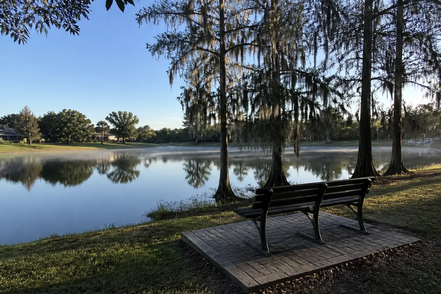 Carrollwood Village lake in Tampa