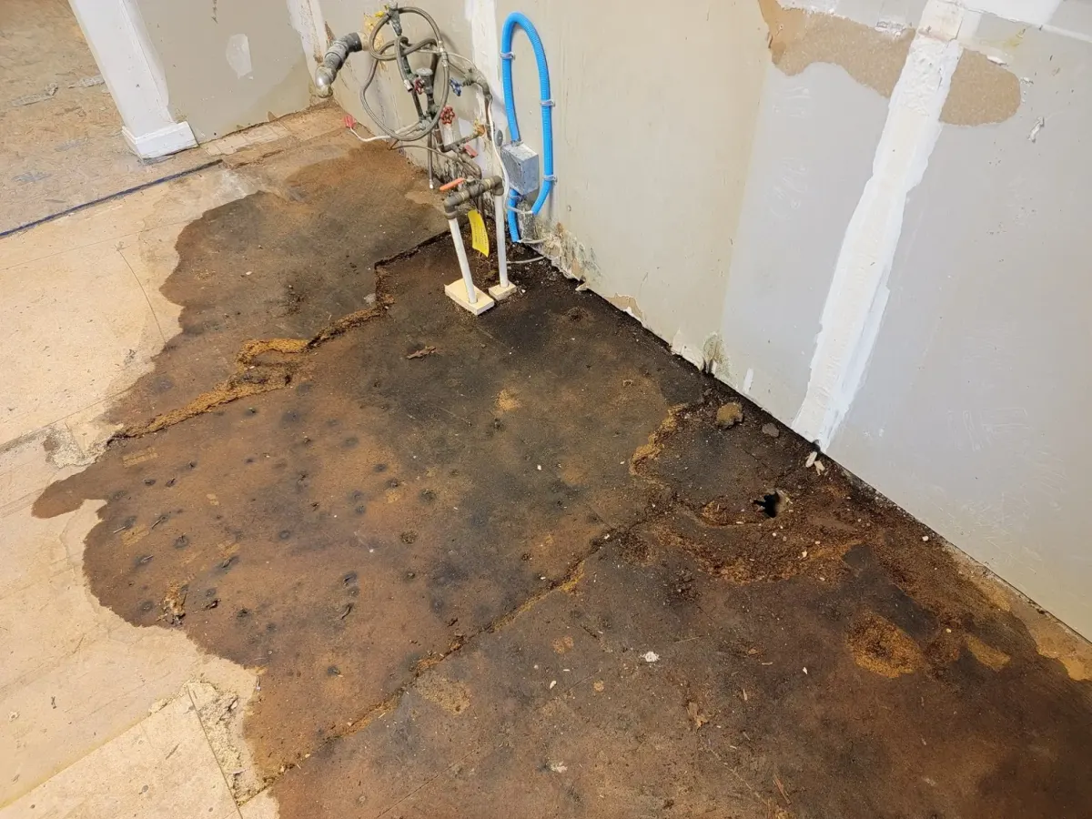 Signs of a Hidden Water Leak: How to Detect and Address Issues Early