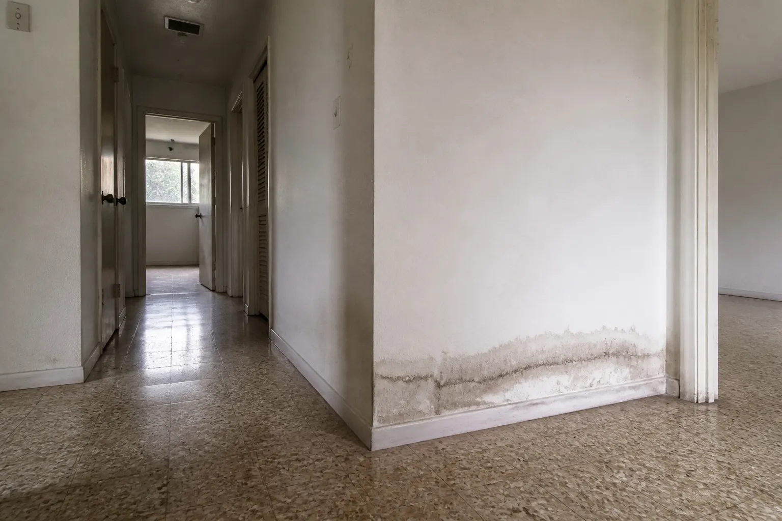 Baseboard moisture from a slab leak in South Tampa Baseboard moisture from a slab leak in South Tampa